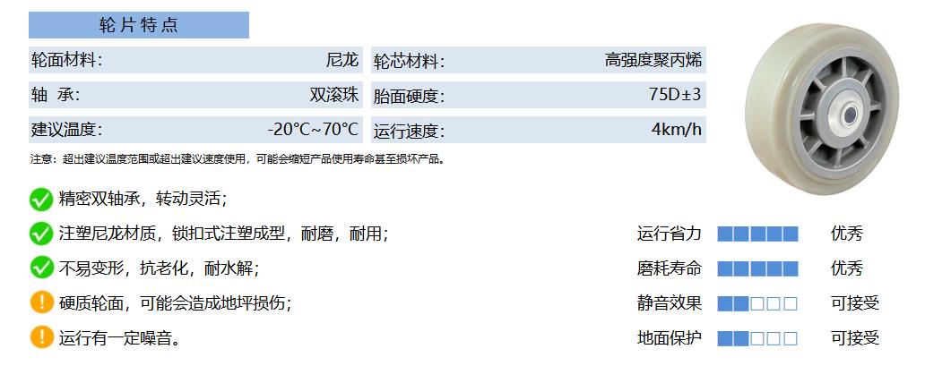 35A NLPA 塑芯尼龙 白 副本